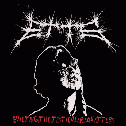 Evicting The Testicular Squatters : Evicting the Testicular Squatters